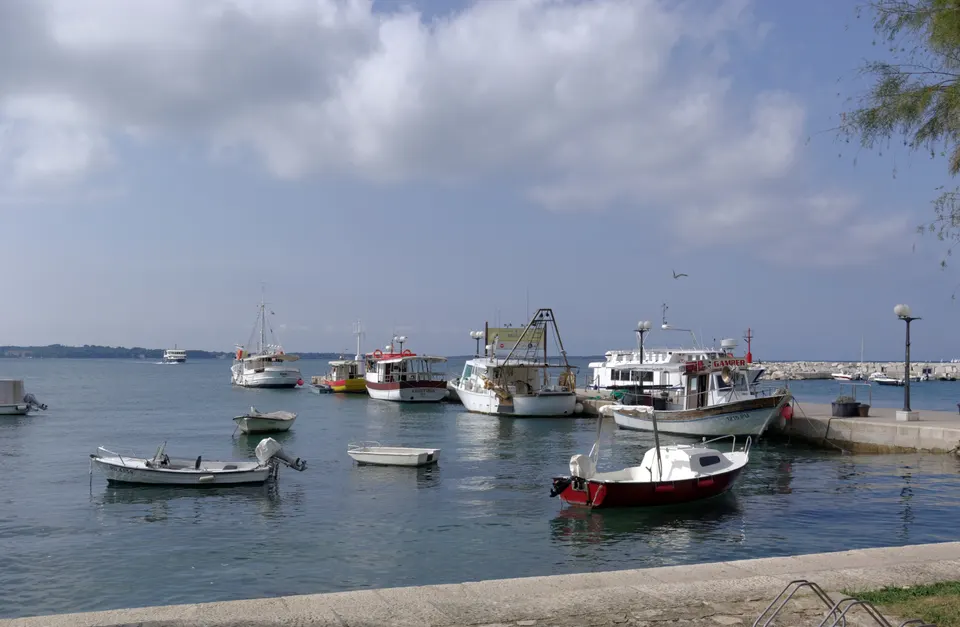 Fishing boats and small craft moored in the harbour at Fažana.