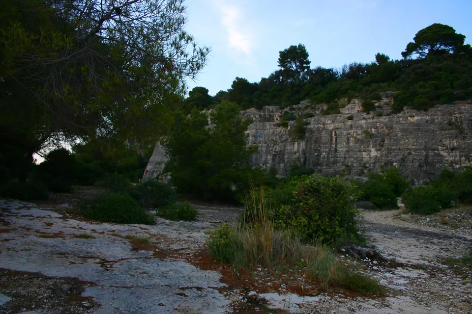An old quarry wall among the pines in the Golden Cape forest park.