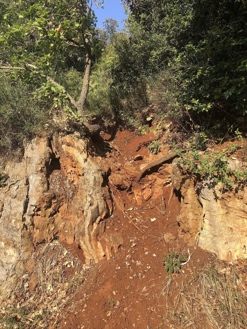 Terra rossa, the red iron-rich soil of Istria, exposed between pale limestone and green scrub.