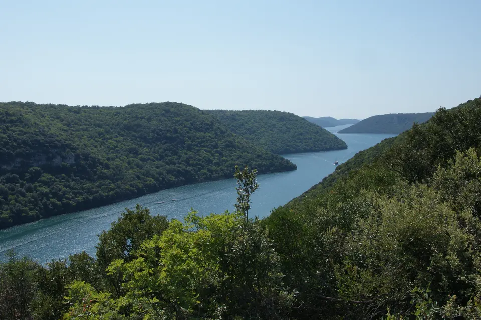 Wooded slopes descending to the still water of Lim Bay.
