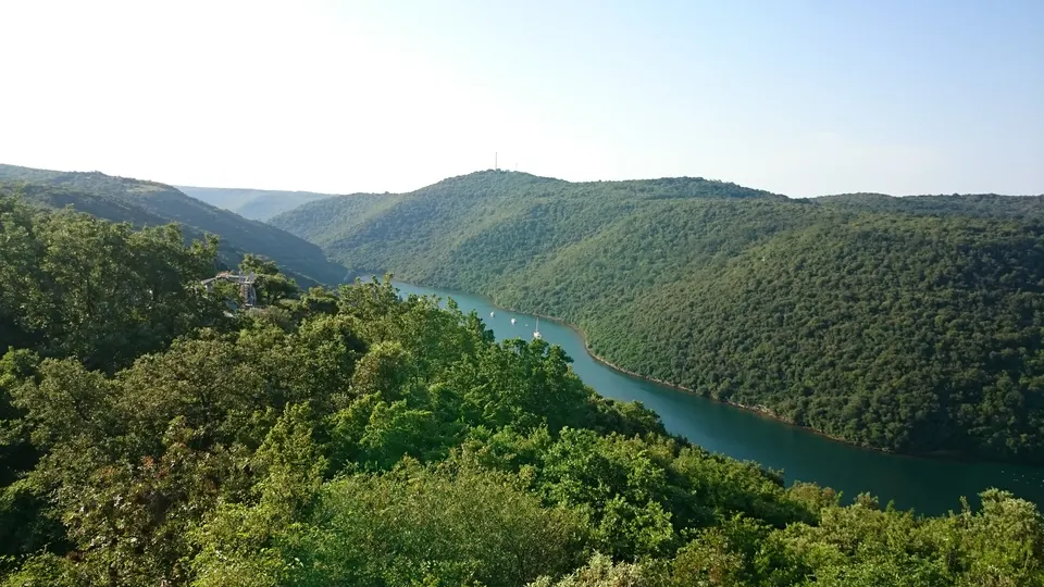 The narrow channel of Lim Bay between forested hills.
