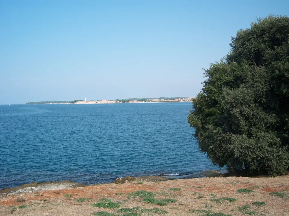 Niedrige Felsen, ein dichter immergrüner Baum und ruhiges Meer am Ufer der Halbinsel Lanterna.