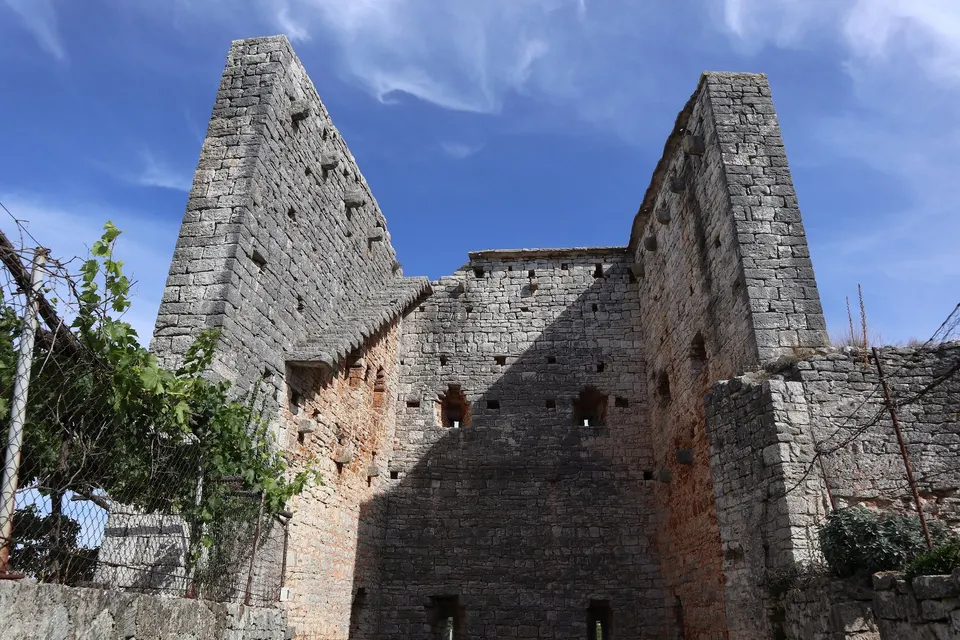 Alte mura in pietra senza tetto delle antiche fortificazioni di Sveti Lovreč, con una vite che cresce accanto.