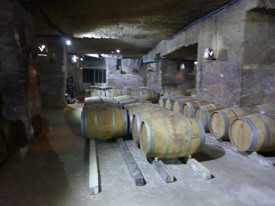 Oak wine barrels resting on wooden boards in an old vaulted cellar.