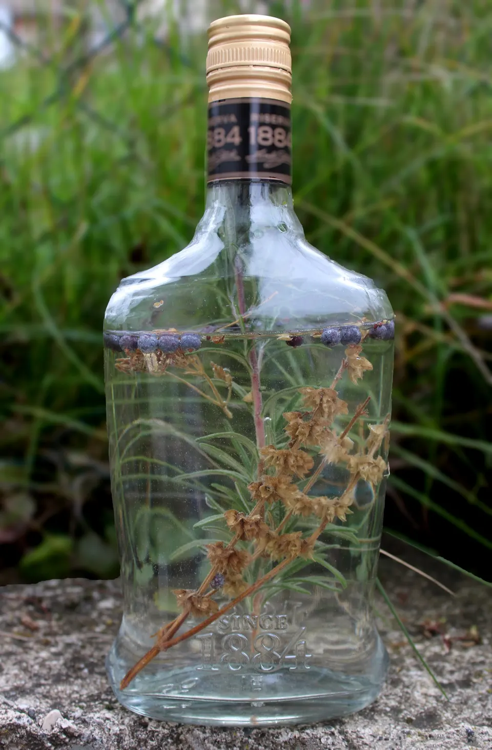 Una bottiglia trasparente di rakija alle erbe con un lungo rametto di erbe secche in infusione, appoggiata su una pietra all'aperto.