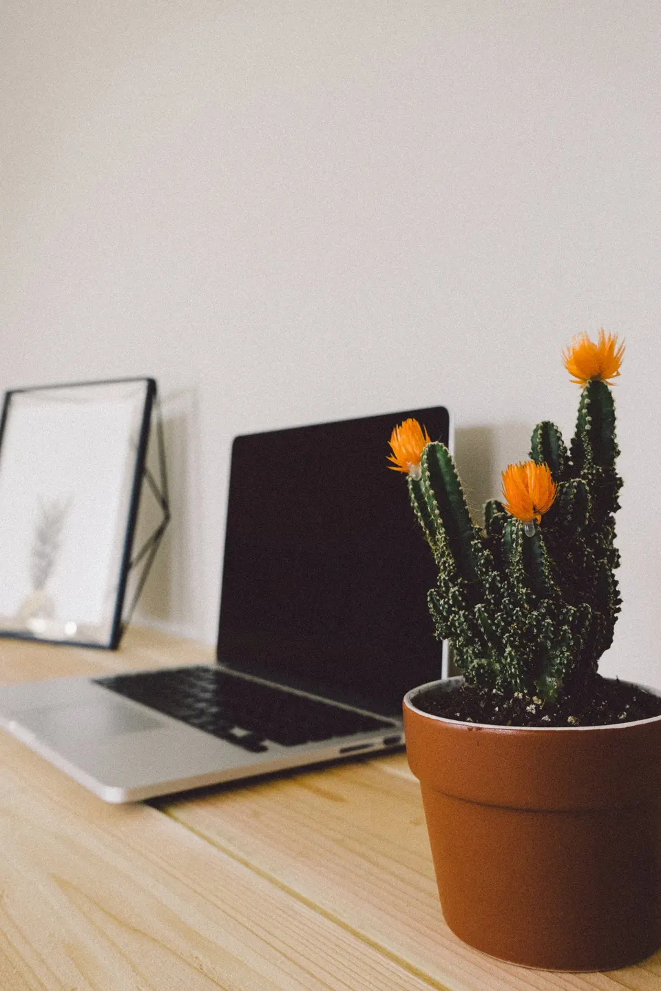 Ein heller Holzschreibtisch mit aufgeklapptem Laptop, einem gerahmten Druck und einem Kaktus mit orangefarbenen Blüten im Topf, in weichem Tageslicht.