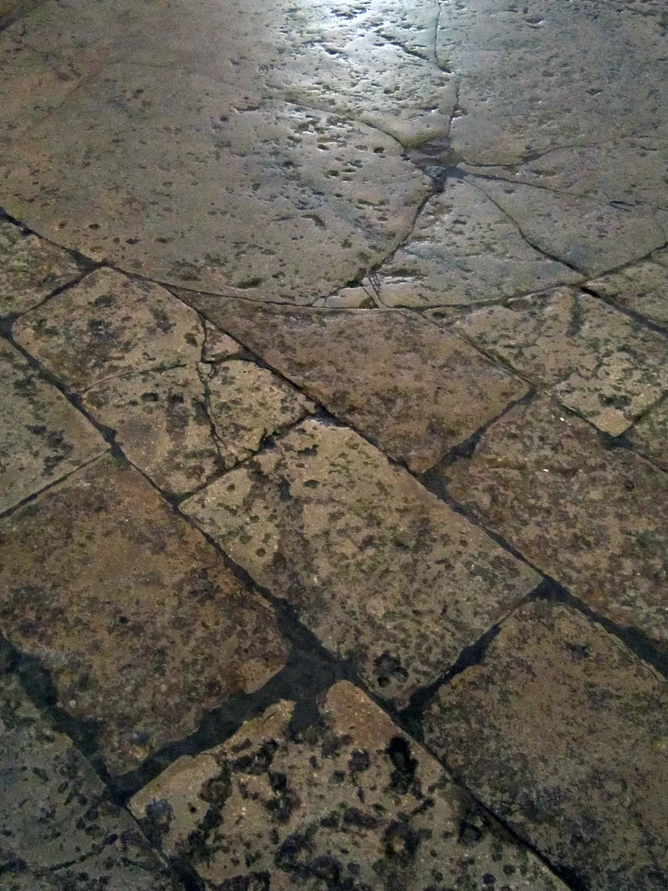 An old limestone floor of large, irregular slabs, worn smooth by footsteps, with the natural pitting and veining of the stone visible on the surface.