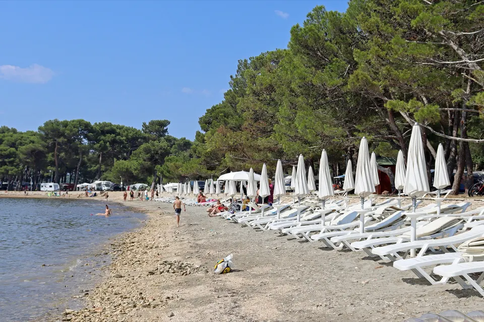 Bijeca beach in Medulin: a gently sloping shore of sand and fine gravel, rows of white sunbeds and closed umbrellas under tall pines.