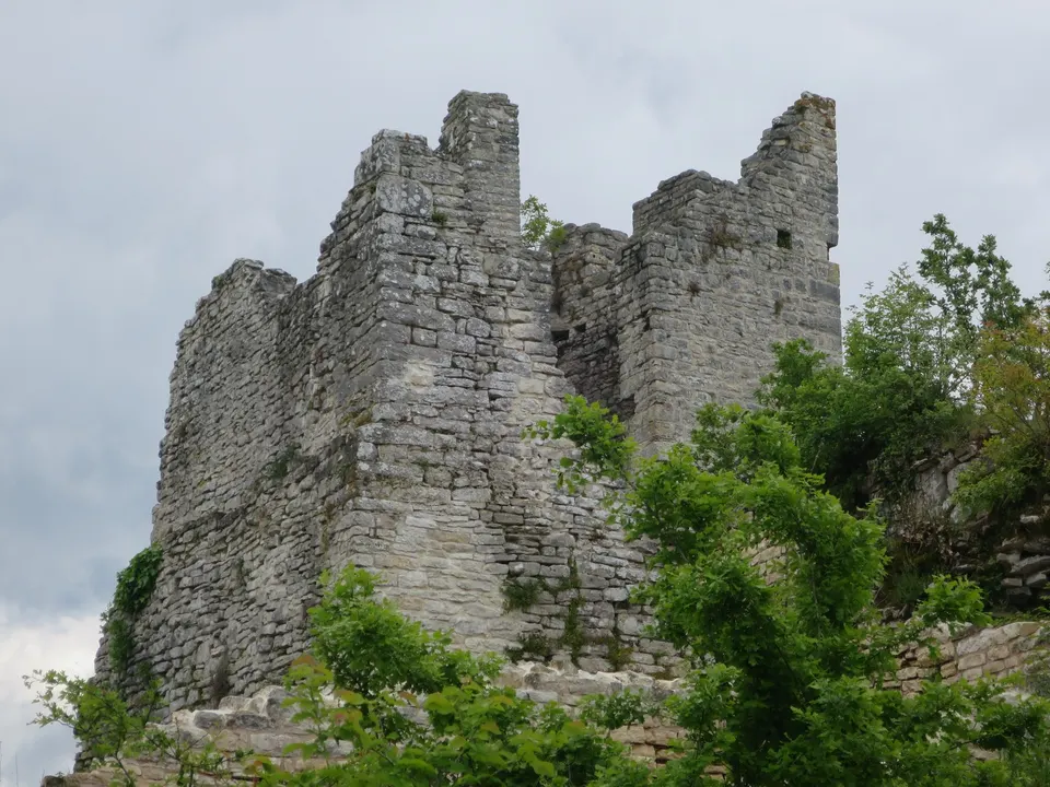 Tall ruined stone towers of Dvigrad among green trees, under a cloudy sky.