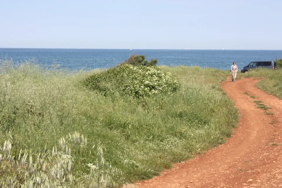 A red earth track through long grass along the coast near Dajla, with the sea on the horizon.