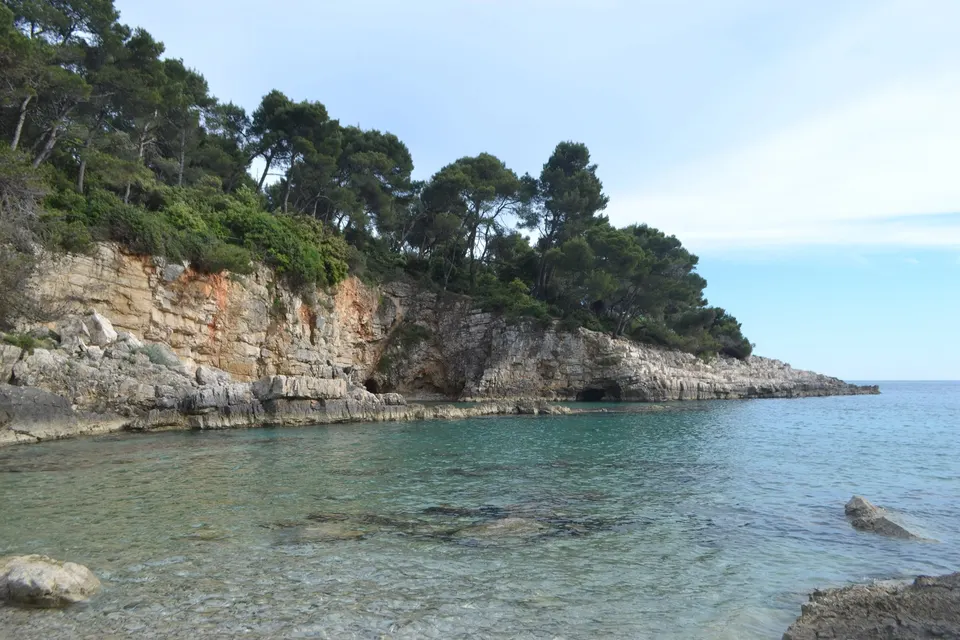 Layered cliffs and a quiet cove under the pines at Galebove stijene, on the Stoja peninsula.