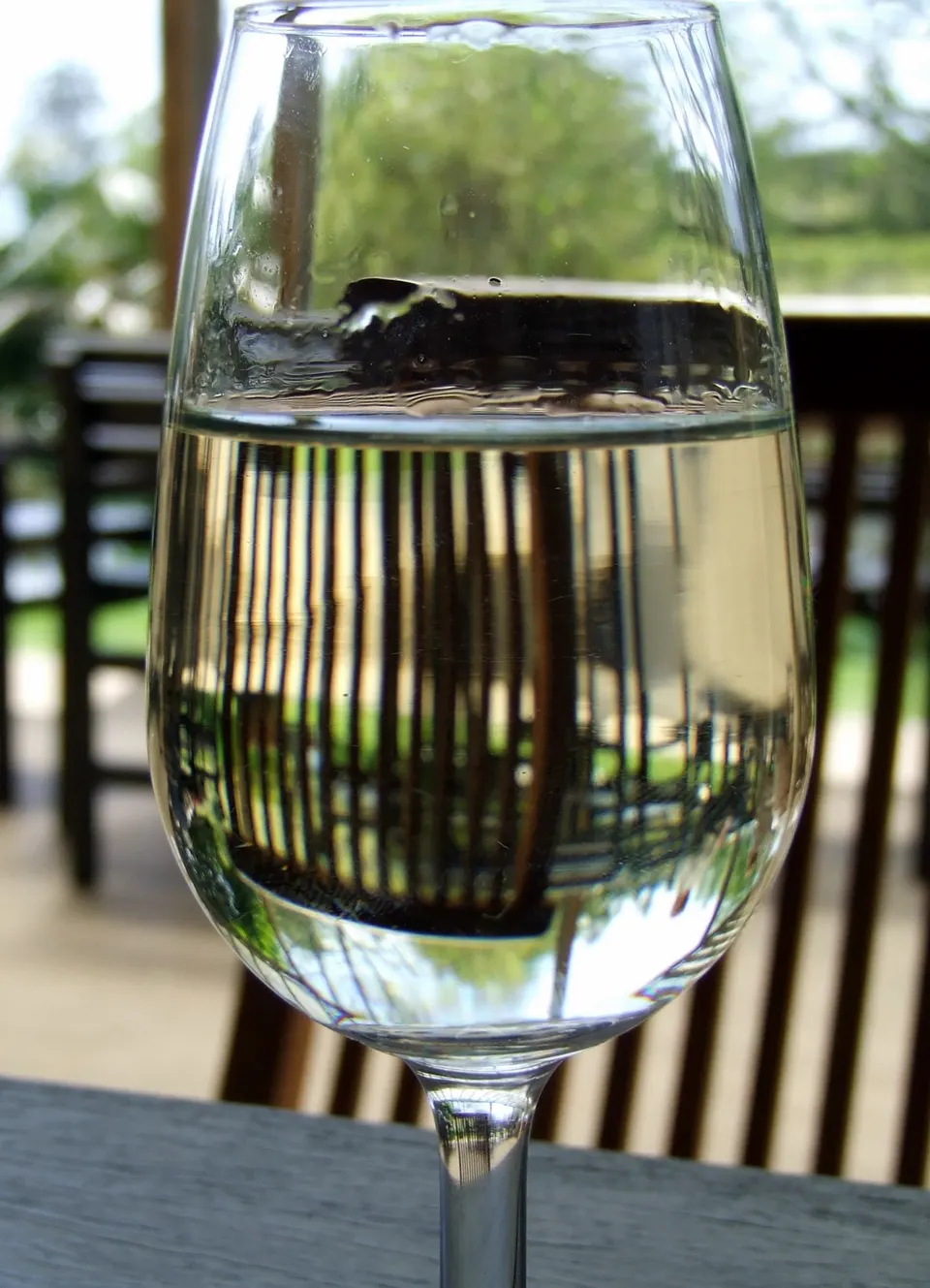 A glass of white wine on a terrace table, the garden reflected in the glass.